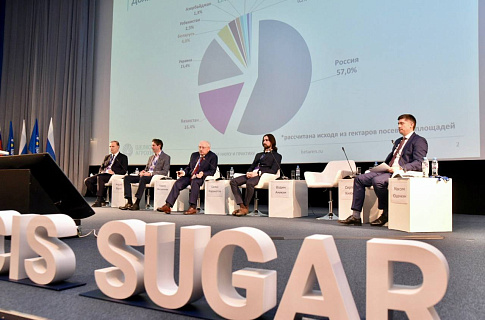 Сахарная свёкла: культура роста